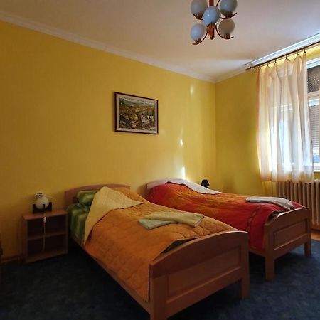 Apartment Roxana Нови-Сад Экстерьер фото